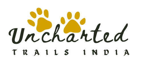 Uncharted trails logo