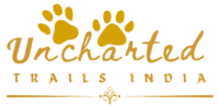 uncharted trails golden logo